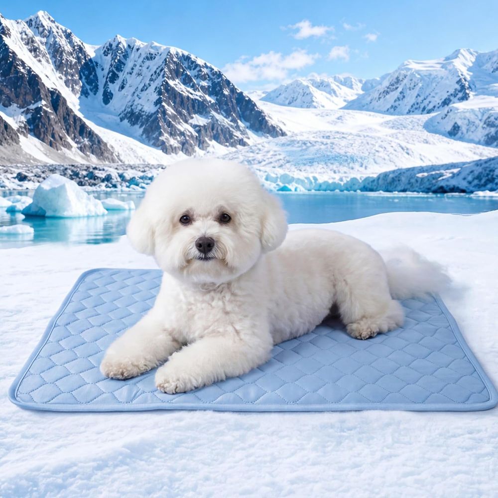Dog Cooling Mat - Kühlmatte für Kleine Hunde, Welpen &