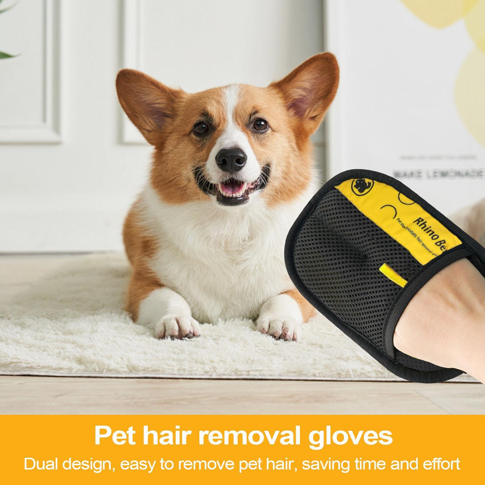 2 Stück Katzenpflege-Handschuh – Pet Hair Remover Brush Bewertung und Preis