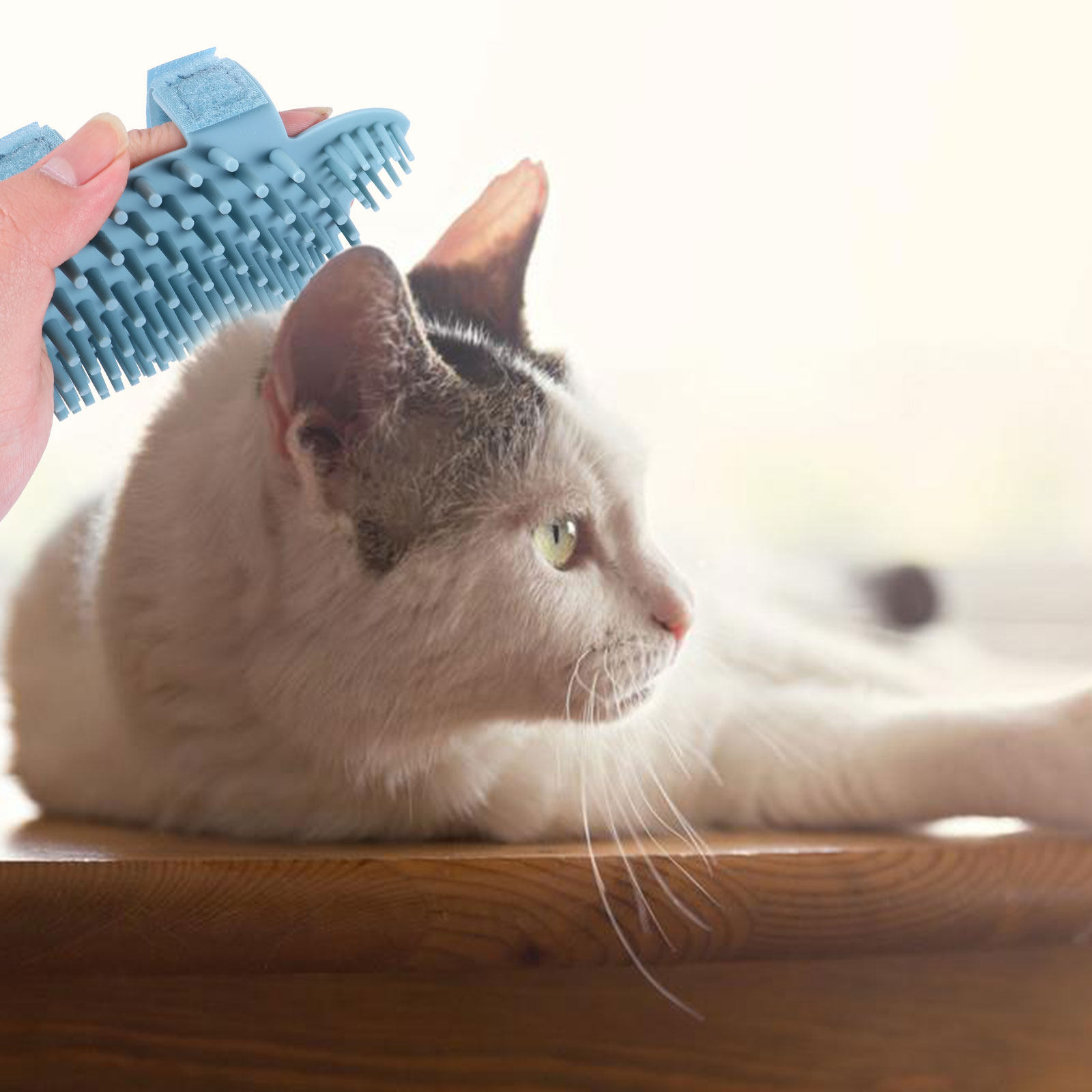 Katzen-Wandeckenbürste zur Sel – Pet Hair Remover Brush Bewertung und Preis