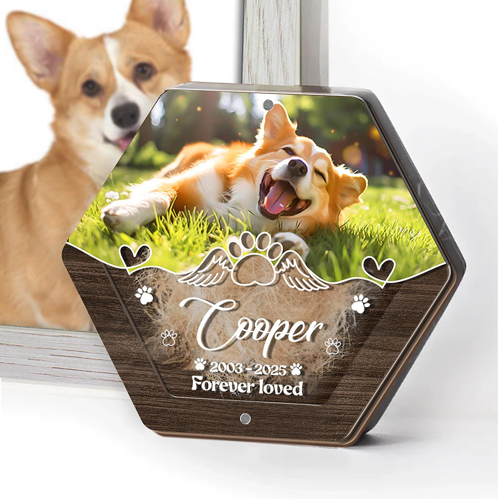Personalisierte Name Holzschni – Pet Supplies Store Bewertung und Preis