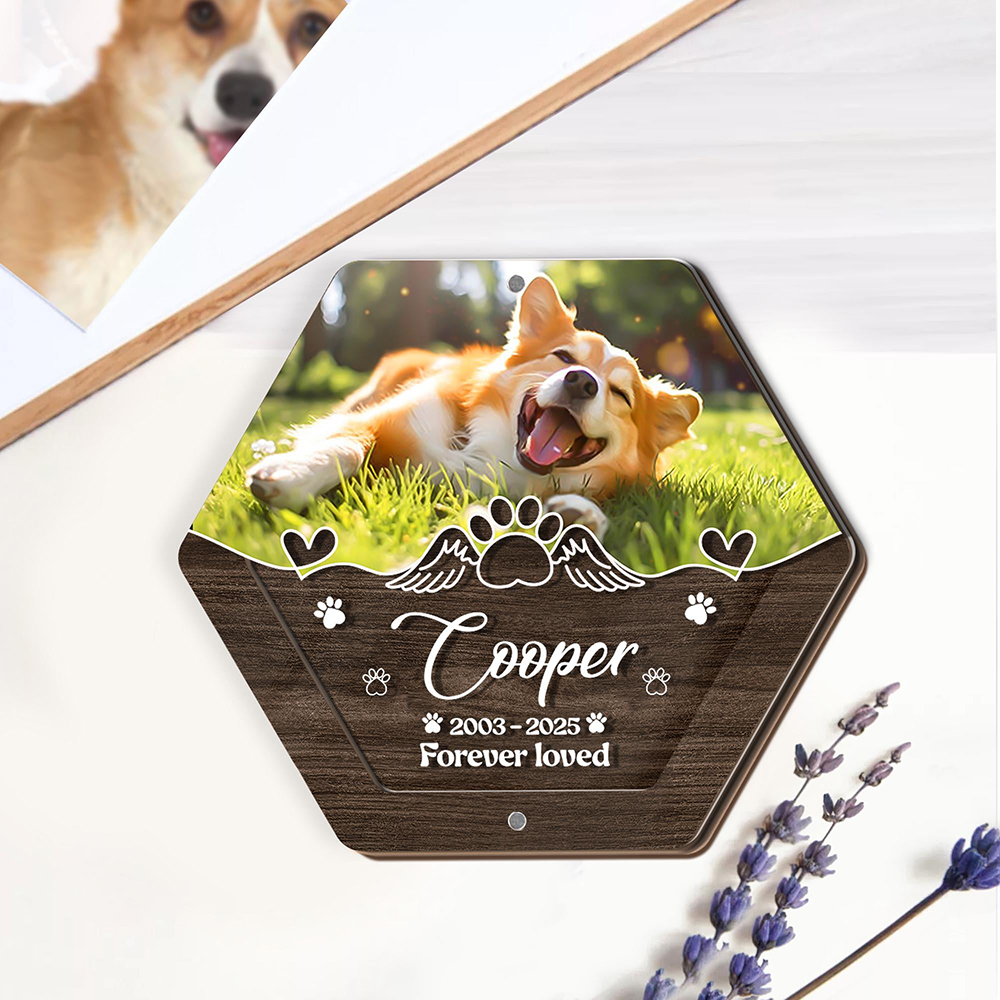 Personalisierte Name Holzschni – Pet Supplies Store Bewertung und Preis