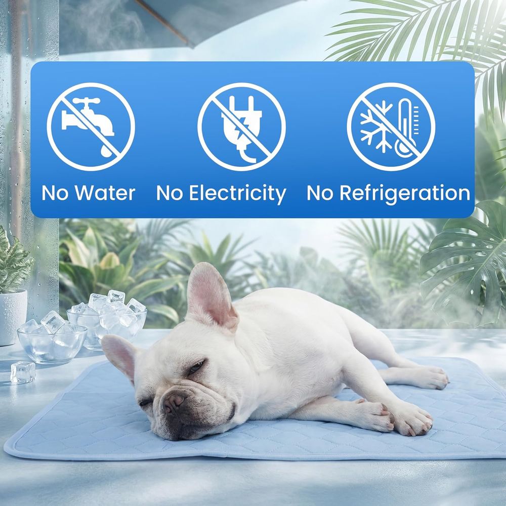Kühlmatte für Kleine Hunde, We – Dog Cooling Mat Bewertung und Preis