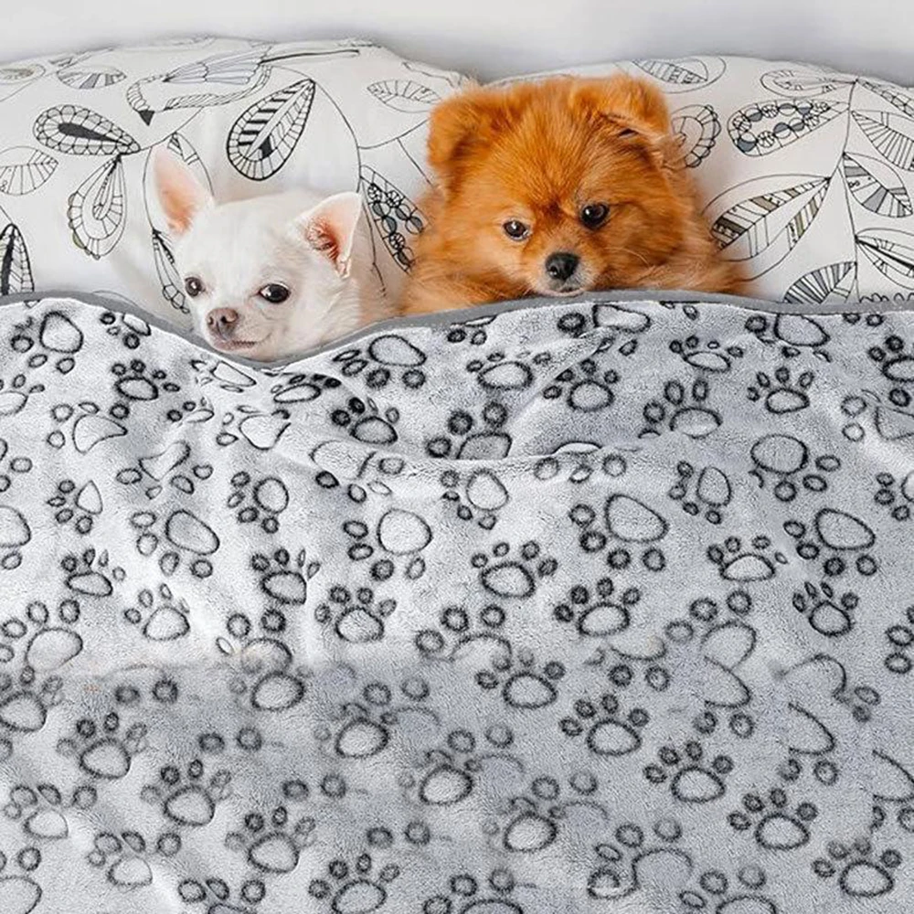 Winterweiche Hundedecke Waschb – Calming Dog Bed Bewertung und Preis